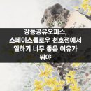 씨스페이스 강동현대점 | 강동공유오피스, 스페이스플로우 천호점에서 일하기 너무 좋은 이유가 뭐야