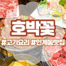 호박꽃 | 인계동 모임장소로 딱인 호박꽃 인계점, 내돈내산 후기