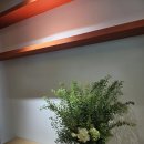 트리즈 | [판교/금토동] 자연과 어우러져 힐링할 수 있는 성남 대형카페, 트리즈 후기