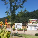 고향다방 이미지