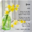 미리 보는 겨울 공원 김밥데이트 초읍 어린이대공원에서 묵참&amp;돈까스김밥 먹은 후기 feat. 금강산도 식후경