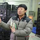 법인버섯천지