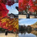 승원(주) | 가을 단풍 충남 공주 가볼만한 곳 마곡사 실시간 후기