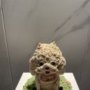 두몽언니 이미지