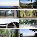 고래불회센타 | [경북 영덕 여행] 2026 국립칠보산자연휴양림 완벽 가이드 명당 숙소 요금, 1박2일 예약 꿀팁 총정리