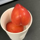 롤링파스타 충남홍성점 이미지