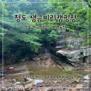 [청도 생금비리쉼터캠핑장] 경북 계곡 캠핑장, 대구근교 애견동반, 쪼꼬의8번째캠핑