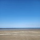 충남 서천 여행 코스 추천 춘장대 해수욕장 장항송림산림욕장 장항스카이워크