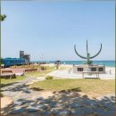 스테이소솜 | 강릉 감성 가득한 스테이소솜에서의 하루