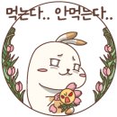 법화선원