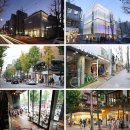 가로수길 이미지