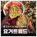 요거트월드 평택고덕점 | 평택 두바이쫀득쿠키 맛집 2천 원대 구매 후기! '요거트월드' 요월데이 할인