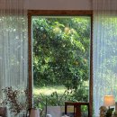 모다들엉 | ‘모다들엉 책방 이야기’ 목련가원 박정아 대표와의 찻자리 후기