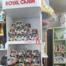 해피애견왕국 이미지