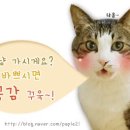 따봉통닭 이미지