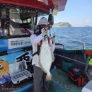 구매항 | 광어 다운샷 선상낚시 입문 구매항 악바리호 전투선단 출조 후기