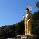 속리산 법주사 이미지