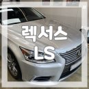 페트라모터스 이미지