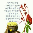 언니오빠