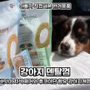 마스덴탈 | 바잇미 강아지 덴탈껌 추천, 치석 제거와 후코이단 함유 강아지개껌