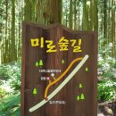 한라산둘레길 사려니숲길 이미지