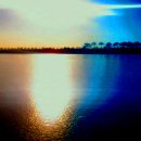 클래식기타 (D) 이미지