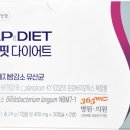 지엘비전