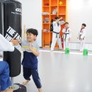 다온키즈태권도장 이미지