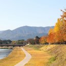 강변에서 이미지