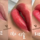 여니크 | [공지] 💎 틴트립 반영구, 입술의 품격을 높이다 💎 양산 여니크