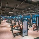 타잔헬스휘트니스 | [ 장유헬스 / 장유PT ] 플러스짐이어야만 하는 이유 , 장유 1등헬스장 , 해머스트렝스 오피셜센터