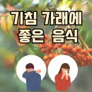 기침 가래에 좋은 차 &#39;마가목즙&#39; (효과본 찐 후기 )