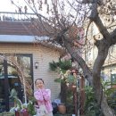 사랑이그린세상2호점 이미지