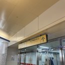(내돈내산)강남역 오션의원 스펙트라필 후기