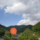 금학분식