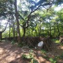 용귀농장 이미지