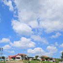 개울달천 이미지