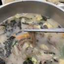 발아메밀막국수