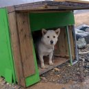 밀양아트펜션 이미지