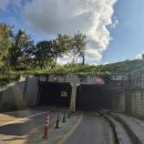 한강 자전거도로10 | 서울 한강 러닝 코스 여의도 고구마런 8km 코스 후기 상세 총정리&amp;주차장 및 주의 사항