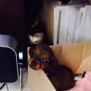 삼덕연탄 이미지