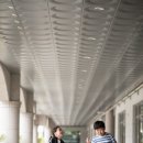 청도소싸움경기장 이미지