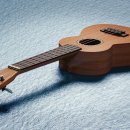 우쿨렐레 이미지