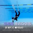 안성맞춤공감센터 농구장 | [창원] 미트로 프리다이빙 후기 :: 수중 인생사진을 남길 수 있는 경남프리다이빙