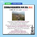 오동나무어린이공원 이미지