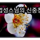 Re: Re: 법성스님의 신중청, 신중기도 이미지