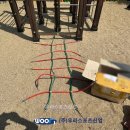 서울면남초등학교 이미지