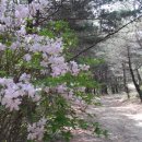 산밭골산장민박 이미지