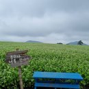 성읍환승정류장 이미지