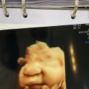 으라차차 유도짐 모라점 | [돌아 온 출산 일기]애 둘 맘 된 설순